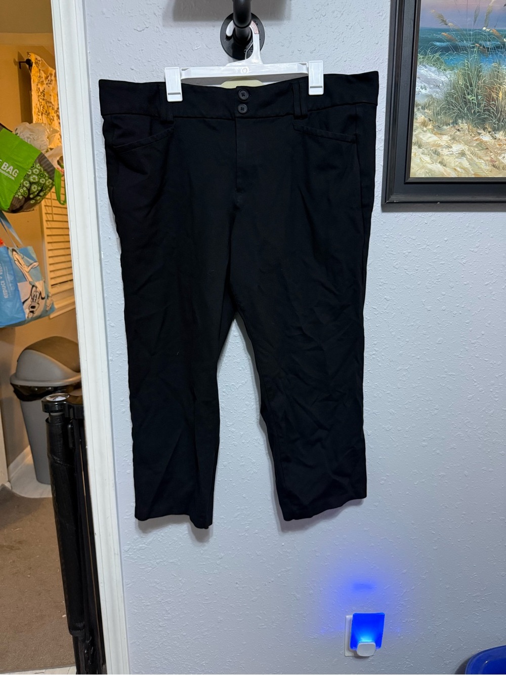 Women’s torrid studio trouser straight leg Black Dress Pants 22 short